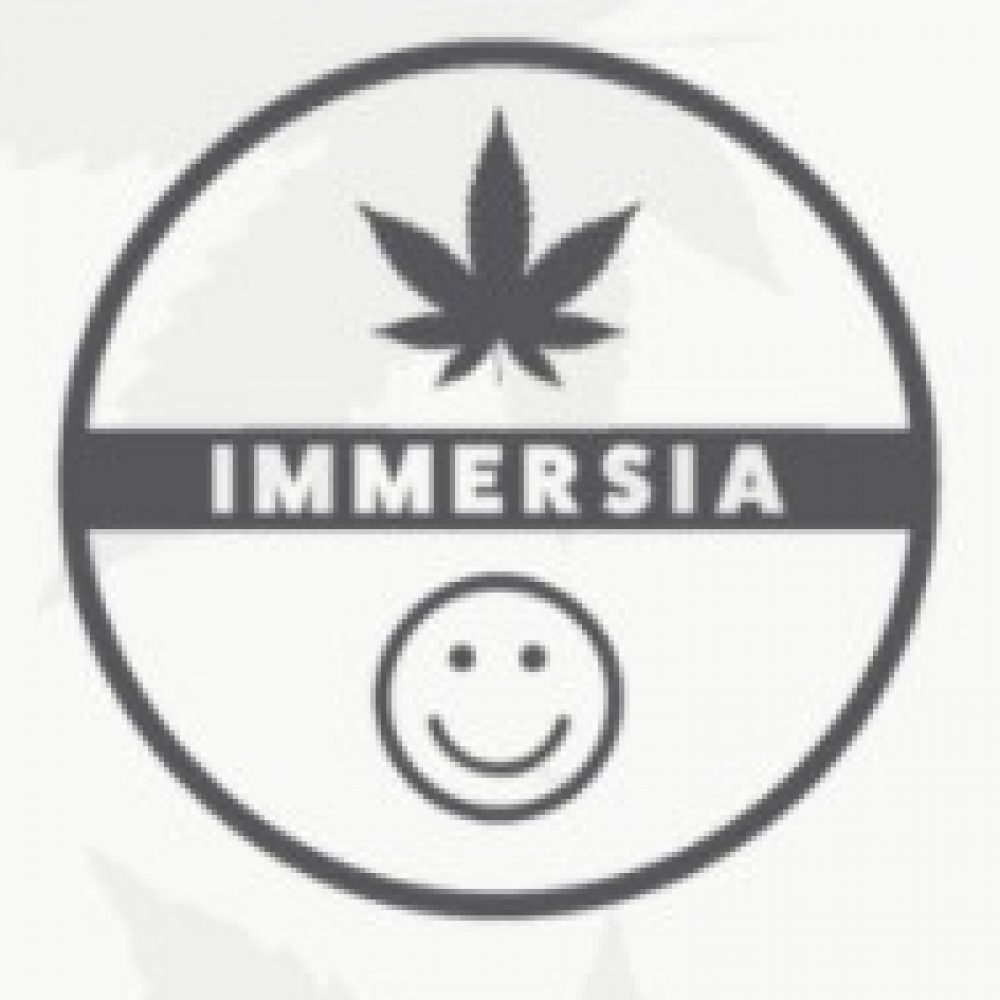 Immersia logo