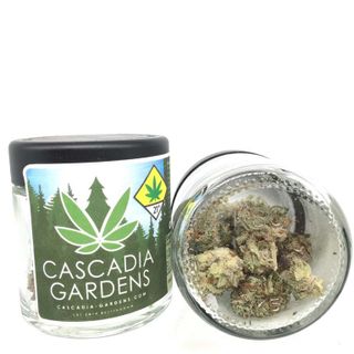 The Jack Strain Review Ft. Cascadia Gardens