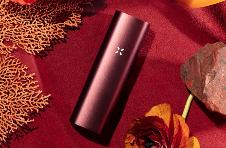 Pax 3 Vaporizer Review - Is it worth it? (+Video)