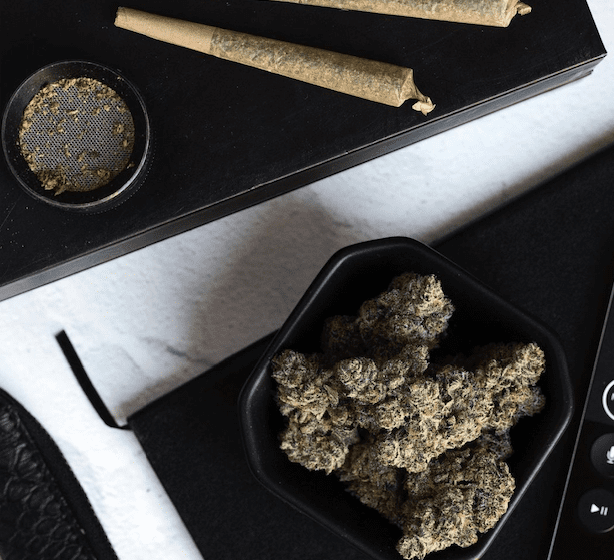 Cherry Fritter Strain Review Featuring Fresh Baked In Long Beach