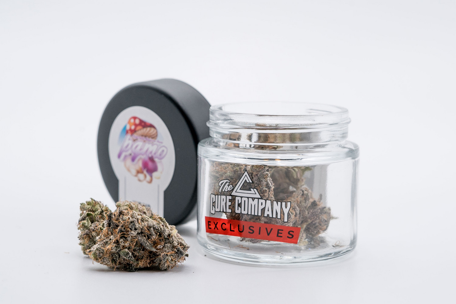 The Purple Garlic Mushroom Onion (PGMO) Strain Review