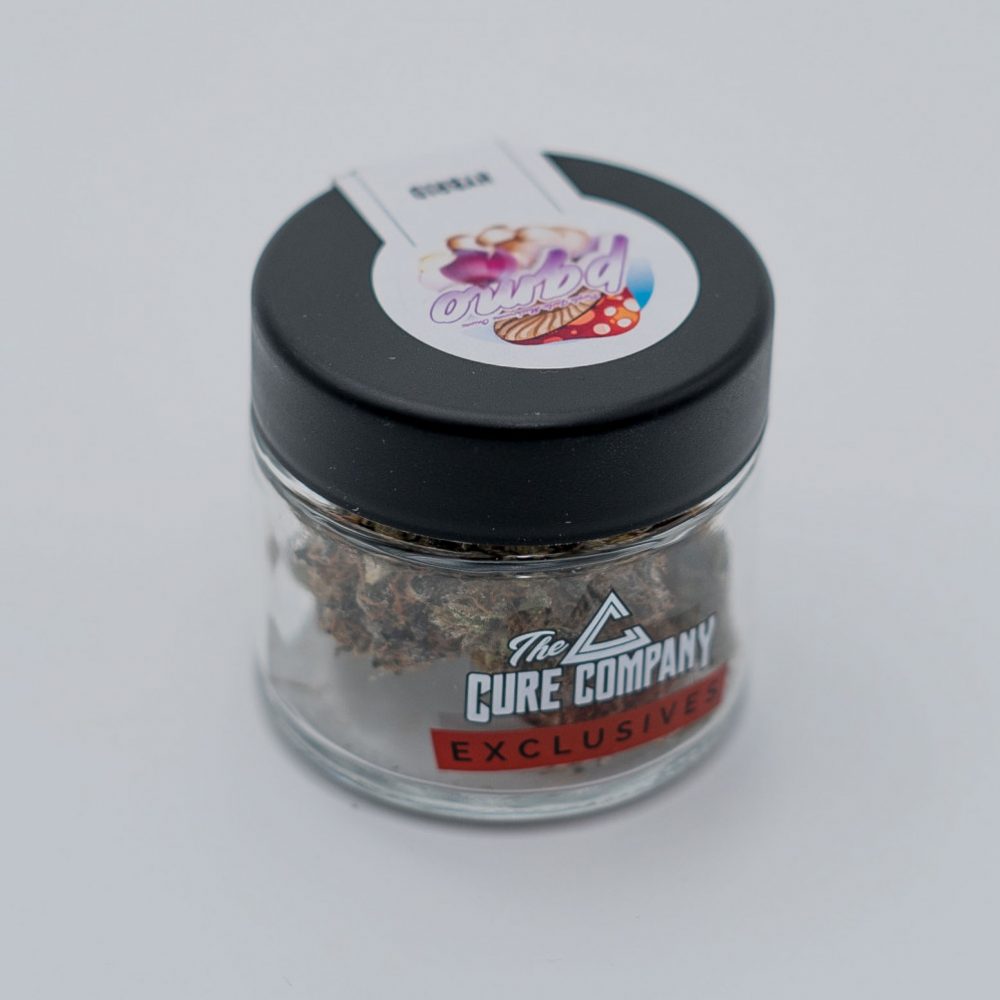 The Purple Garlic Mushroom Onion (PGMO) Strain Review