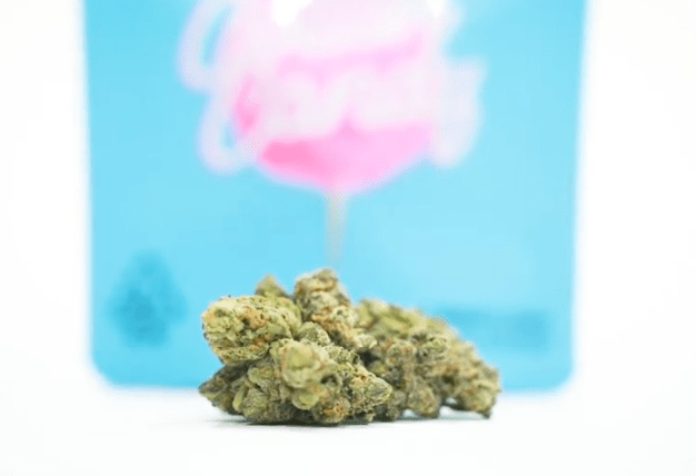 cotton candy ft. marathon cultivation nug in front of packaging