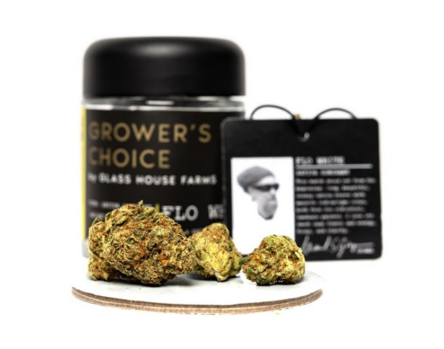 Flo White Strain Review Featuring The Grower's Choice Line From Glass House Farms In California