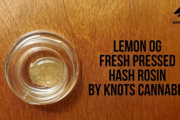 Lemon OG Fresh Pressed Hash Rosin By Knots Cannabis Exclusively At Fweedom Washington Dispensaries For 4/20