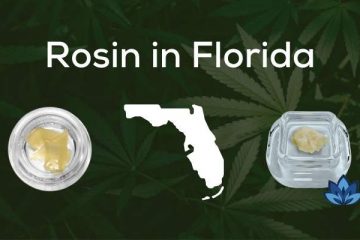 6 Florida Weed Dispensaries that Offer Rosin