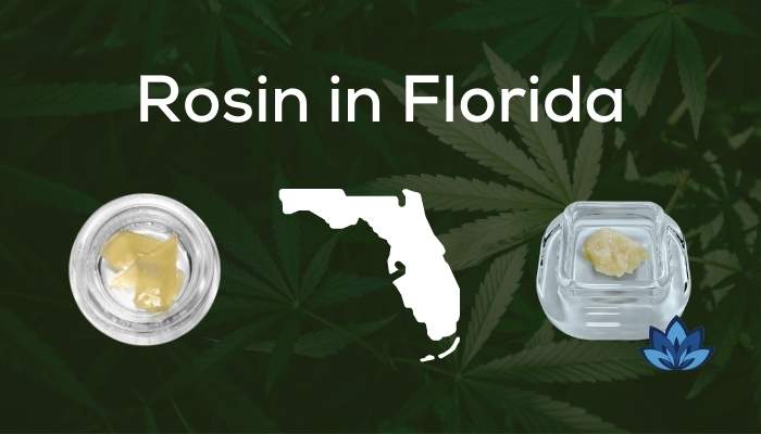 6 Florida Weed Dispensaries that Offer Rosin