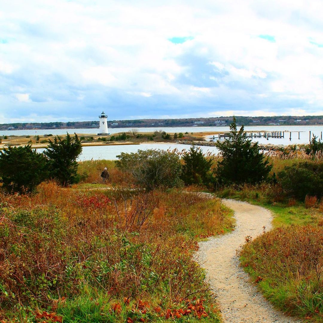 Fine Fettle's Recreational Dispensary on Martha's Vineyard Opens in Time for Obama's Birthday