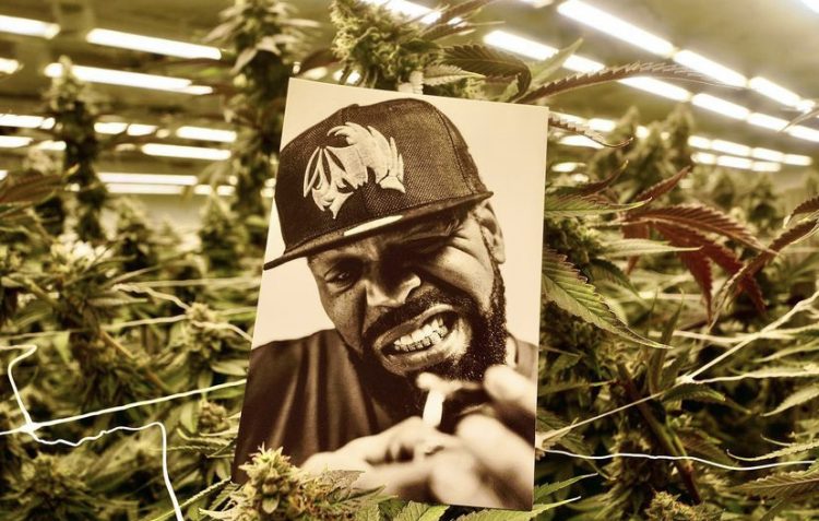 Method Man Cannabis TICAL