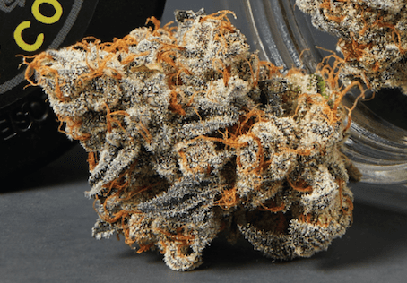 Carbon Fiber Nug