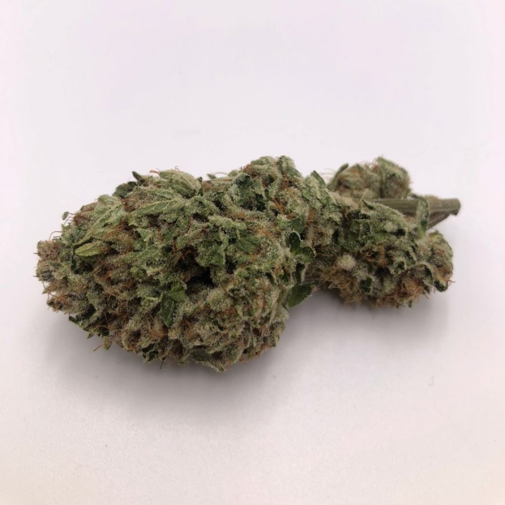 Knots Cannabis Releases Exclusive Locktite Flower Strain