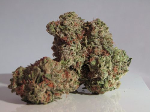 The Gelato Strain: Everything You Need to Know