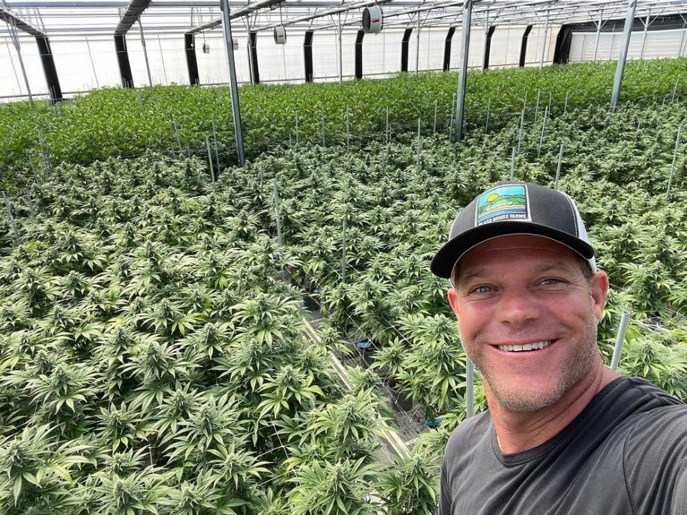 Glass House Farms Dominates California's Cannabis Market Following Massive Vertical Merger