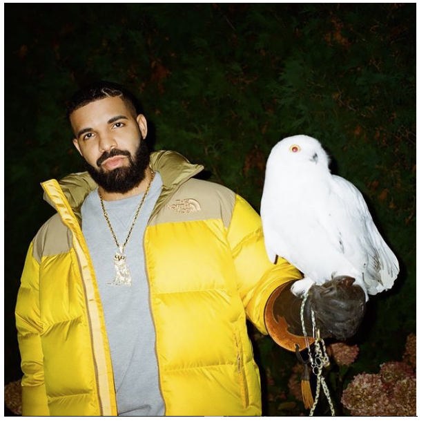 Drake north face sales jacket