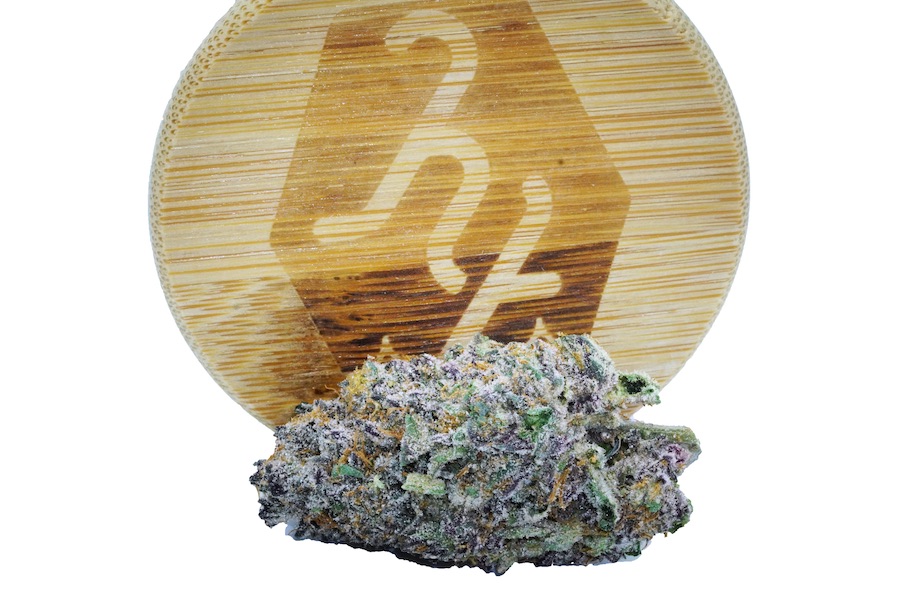 Black Marshmallow Strain Review Featuring High Tide Cannabis in Washington State