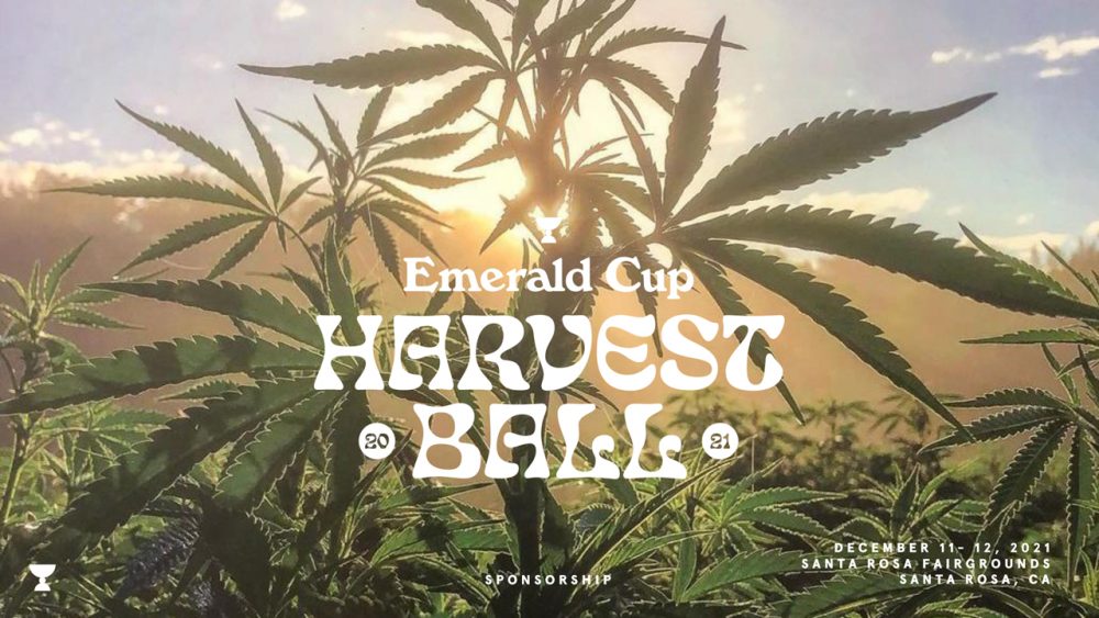 harvest ball emerald cup 2021 craft cannabis marketplace