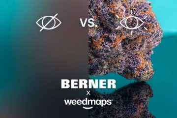 cannabis social media app weedmaps berner