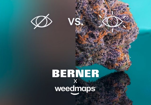 cannabis social media app weedmaps berner