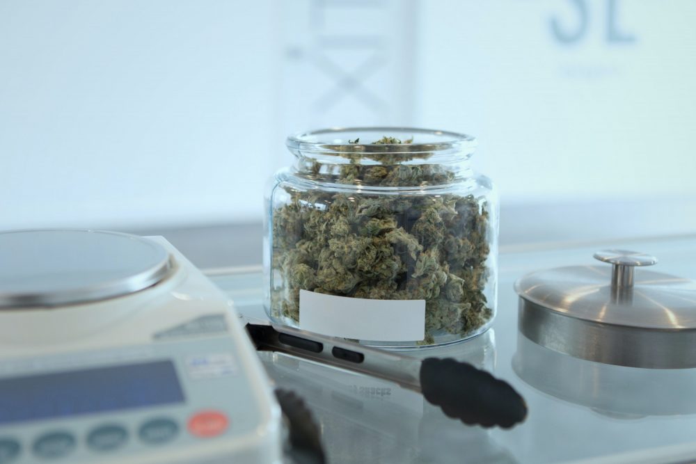 Florida Will Open Cannabis License Applications for One Black Farmer Next Year
