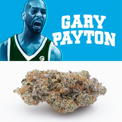 gary payton strain