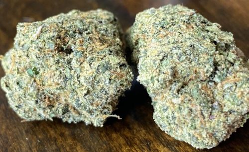 bacio gelato weed strain new year