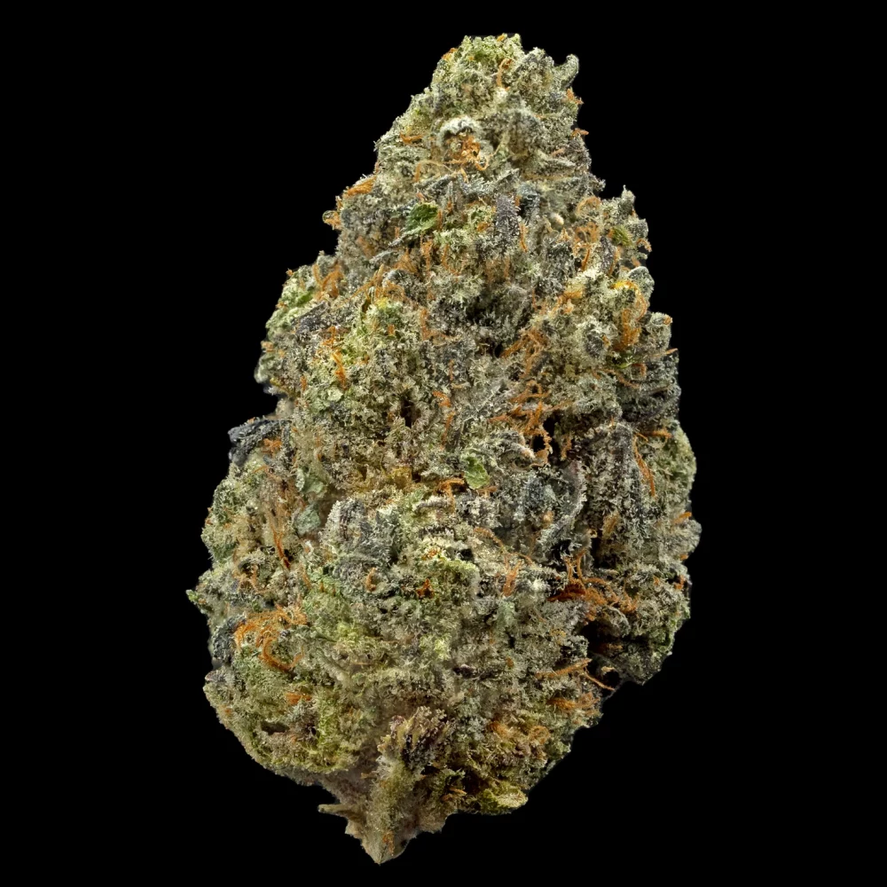 Cookies Bernie Hana Butter Strain A Potent Choice for Even the Most