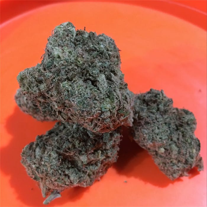 dutchberry cannabis strain