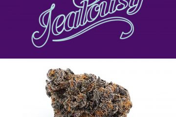 Jealousy Strain by Seed Junky Genetics | Review And Information