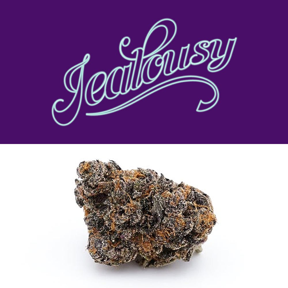 Jealousy Strain by Seed Junky Genetics | Review And Information