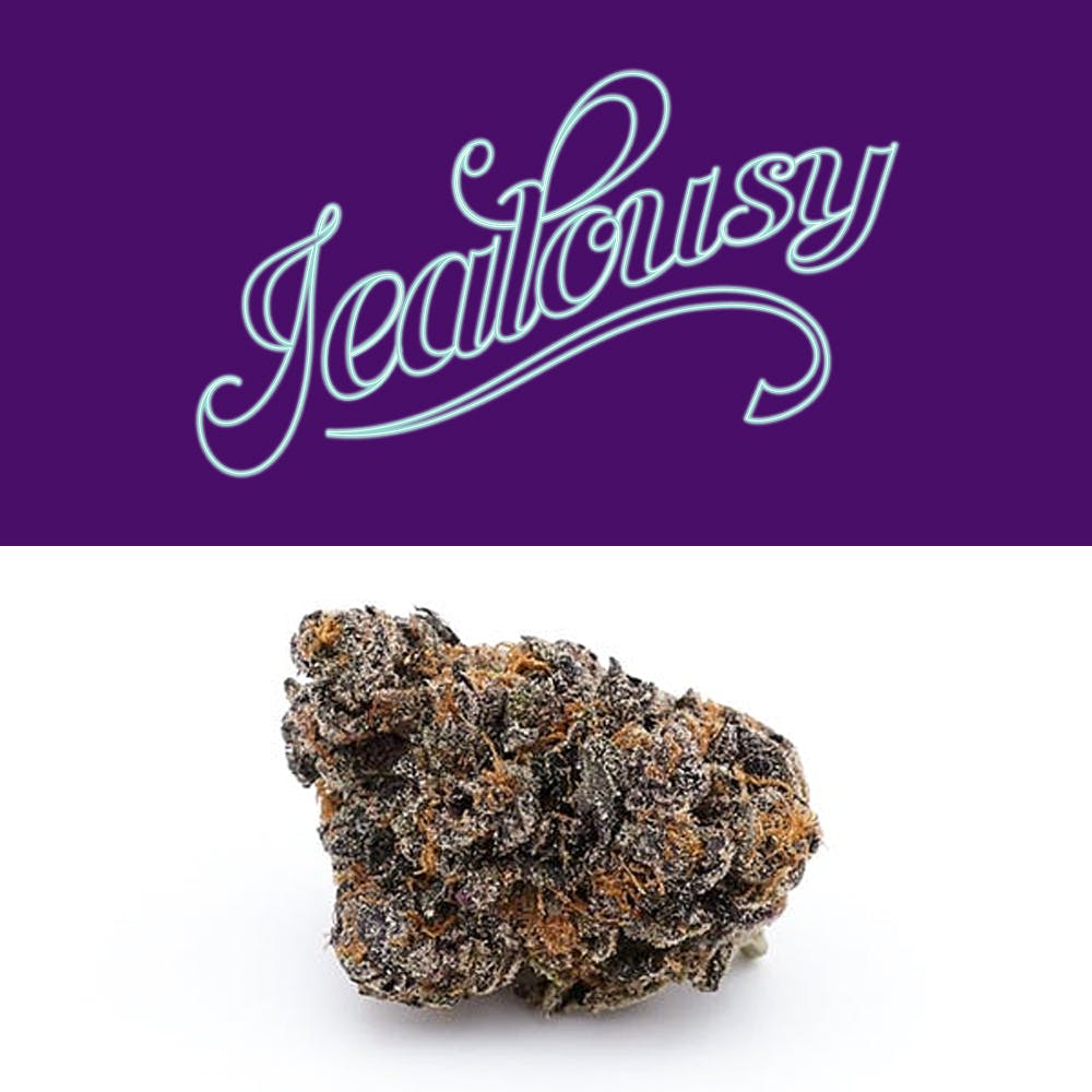 Jealousy Strain by Seed Junky Review And Information