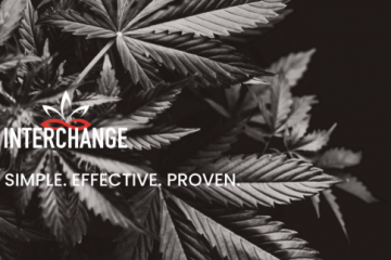 marijuana venture interchange