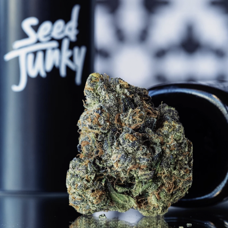 Jealousy Strain by Seed Junky Review And Information