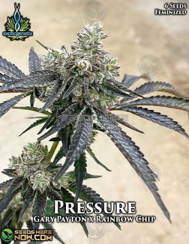 pressure weed