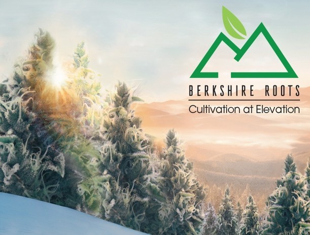 Berkshire Roots: Massachusetts’ Premier Vertically Integrated Cannabis Brand Announces New Products This Year