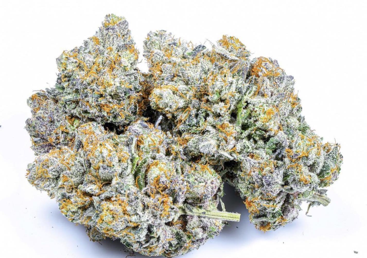 Area 41 Strain by Alien Labs: An Otherworldly Hybrid That Reeks Of Lemons, Dough, and Gas