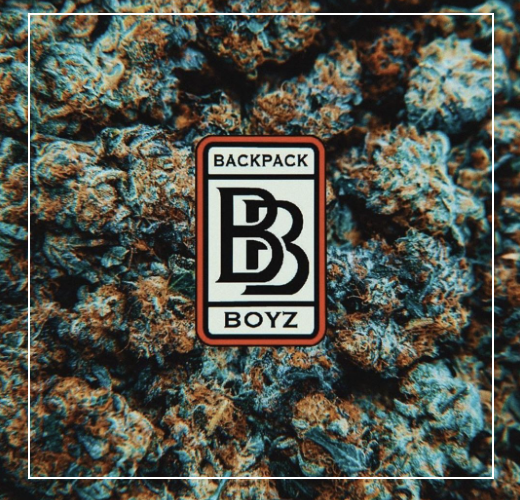 Backpack Boyz