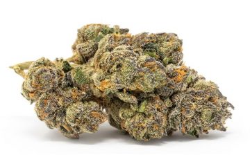 Apples & Bananas Strain by Cookies & Compound Genetics: An Exotic Hybrid With Pungent Fruity And Citrusy Terps