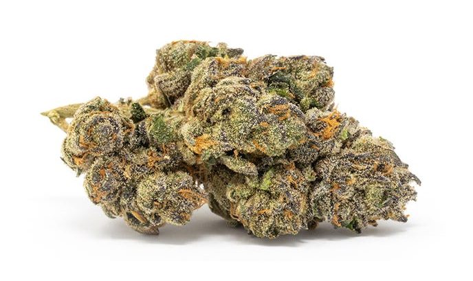 Apples & Bananas Strain by Cookies & Compound Genetics: An Exotic Hybrid With Pungent Fruity And Citrusy Terps