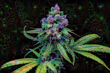 Three must-try fire Arizona cannabis brands