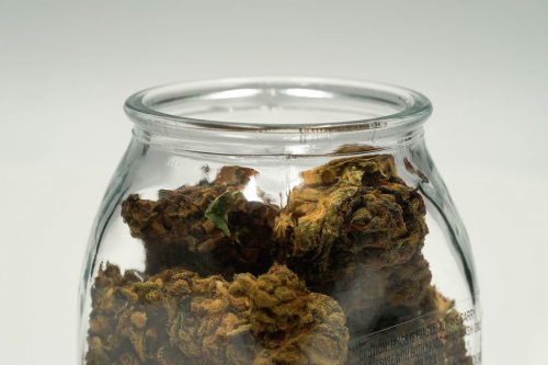 cookie jar cannabis