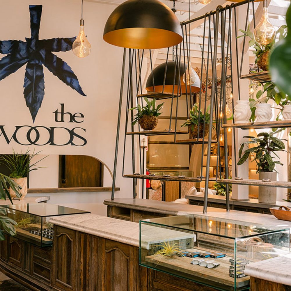 Woody Harrelson Opens New Cannabis Dispensary In LA, The Woods WeHo