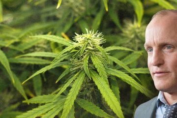 Woody Harrelson Opens New Cannabis Dispensary In West Hollywood, The Woods WeHo