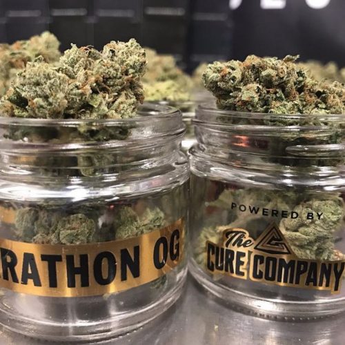 Nipsey Hussle Launches The Marathon Collective Dispensary In Los Angeles This June