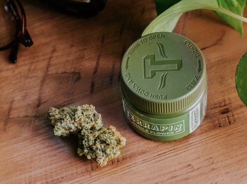 Tangie Mac #2 Strain by Terrapin Review | Sativa Dominant Hybrid