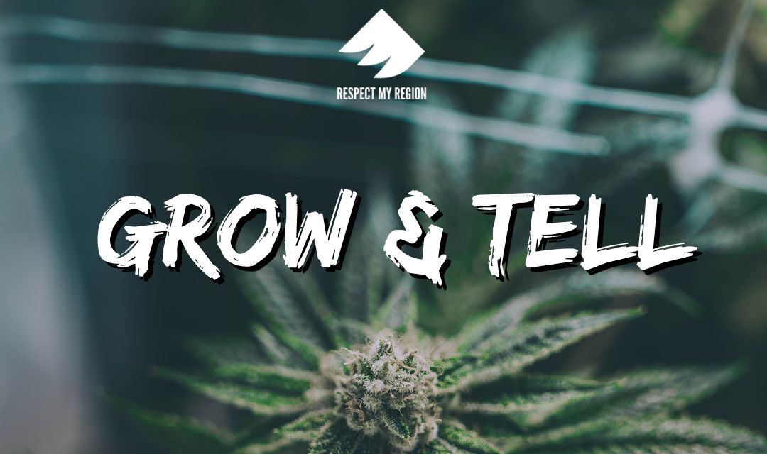 grow and tell podcast