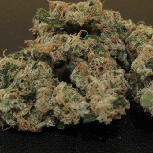 red haze strain
