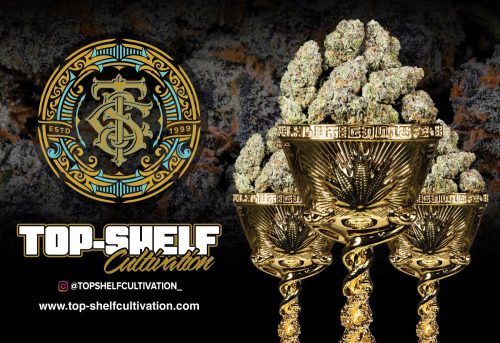 Top-Shelf Cultivation’s Whoa-Si-Whoa Strain Wins Two 1st Place “Best Indica” Awards at 2022 High Times Cannabis Cup In SoCal