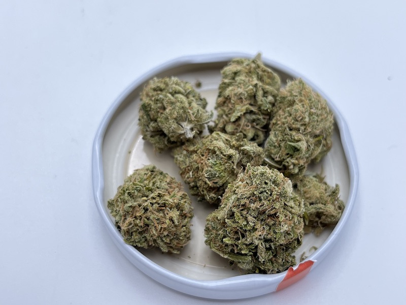 High Plains Drifter Strain Review SativaDominant Hybrid