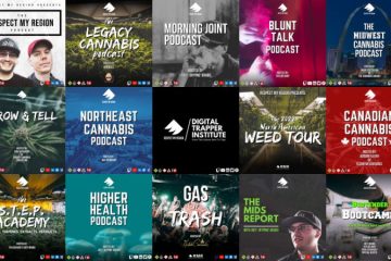 podcasts and video content