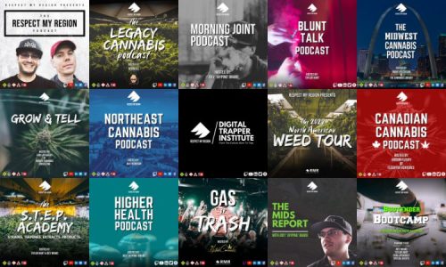 podcasts and video content